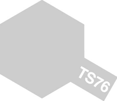 TS-76 Mica Silver-1589622406.jpg