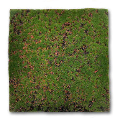 Artificial Grass Mat แผ่นหญ้าสำเร็จ