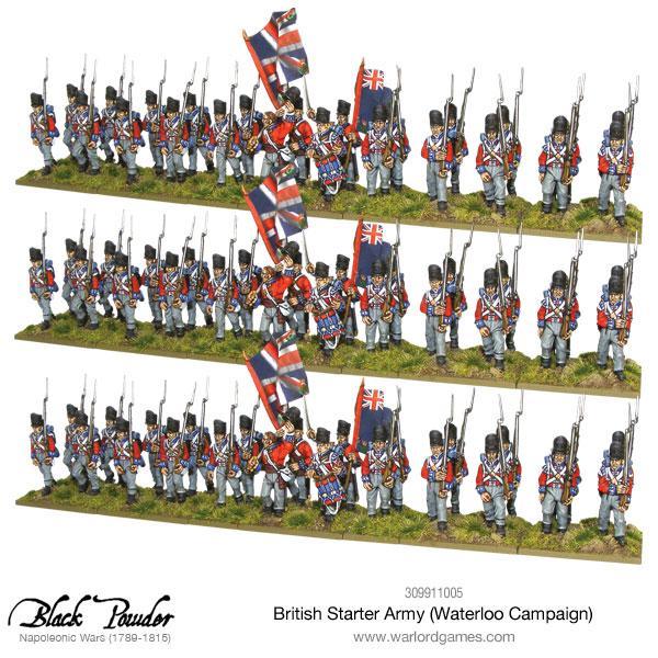 Napoleonic British starter army (Waterloo campaign)-1696168469.jpg