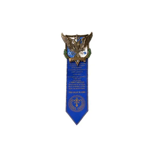 Indomitus Crusade Honour Badge  1