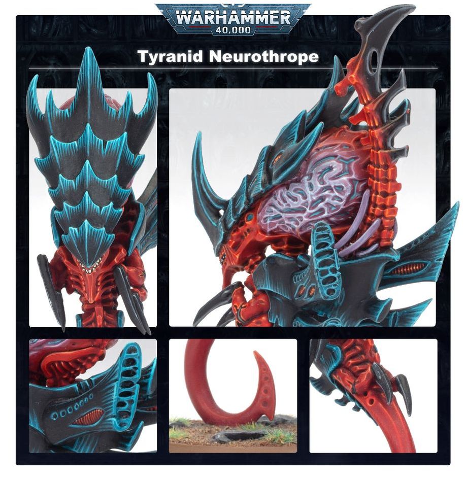 (200A) TYRANIDS: VENOMTHROPES / Zoanthropes / Neurothrope-1705063233.jpg