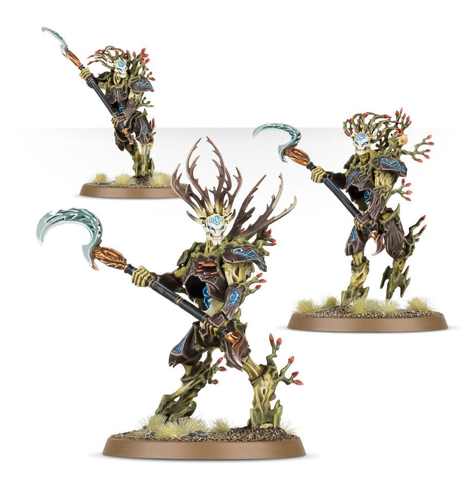 (200A) SYLVANETH: KURNOTH HUNTERS-1706468589.jpg