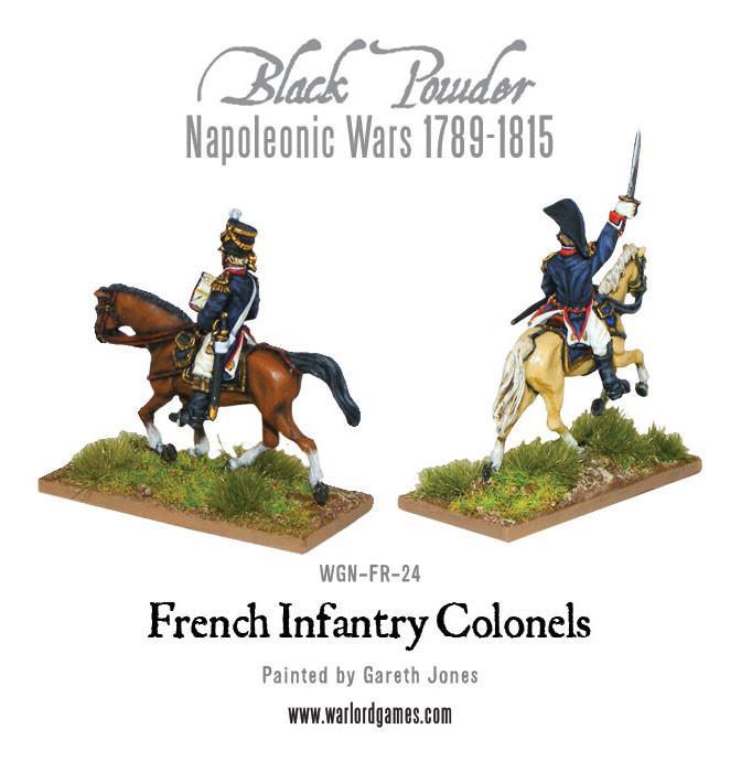 Mounted Napoleonic French Infantry Colonels-1710239685-NR5VL.jpg