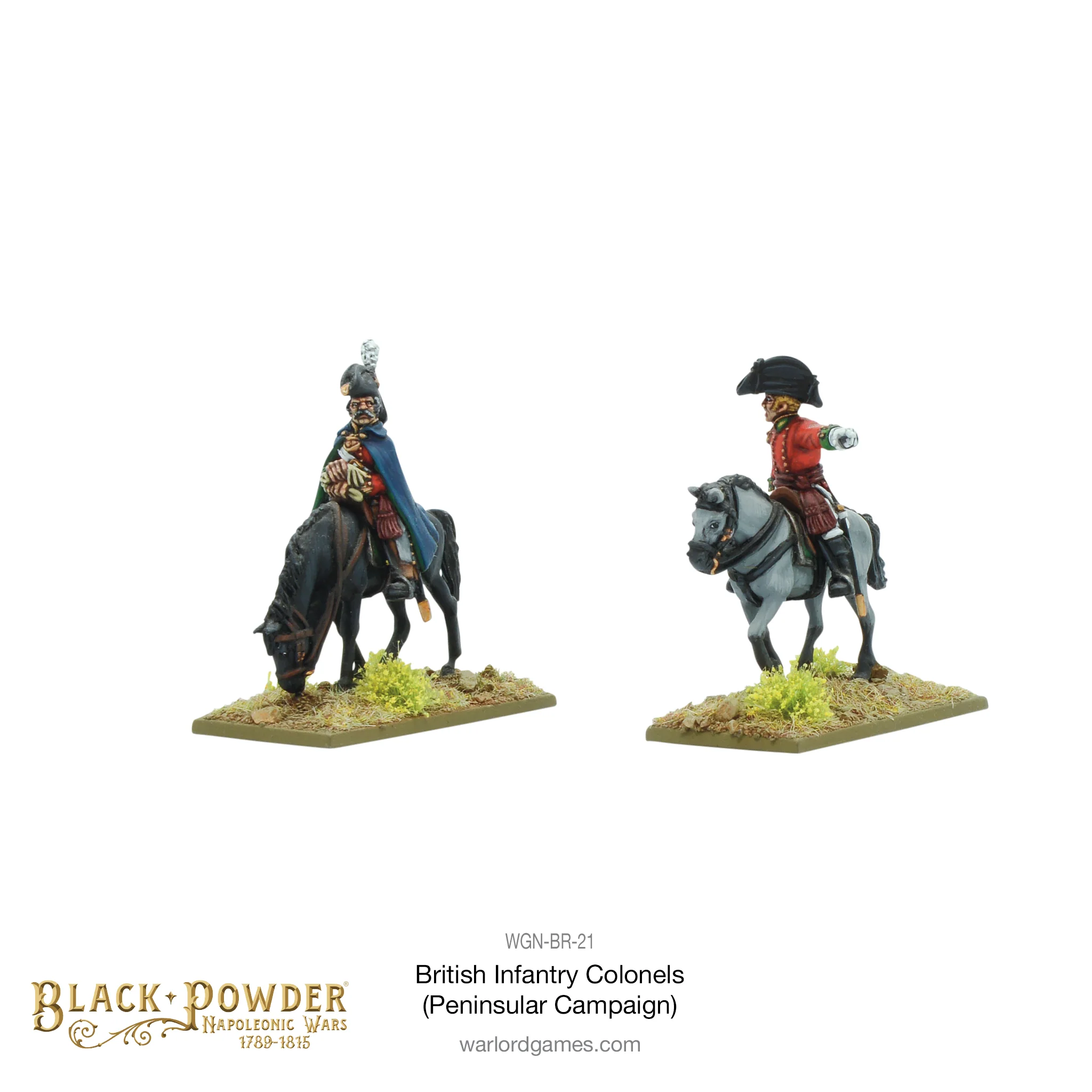 Mounted Napoleonic British Infantry Colonels (Peninsular War)