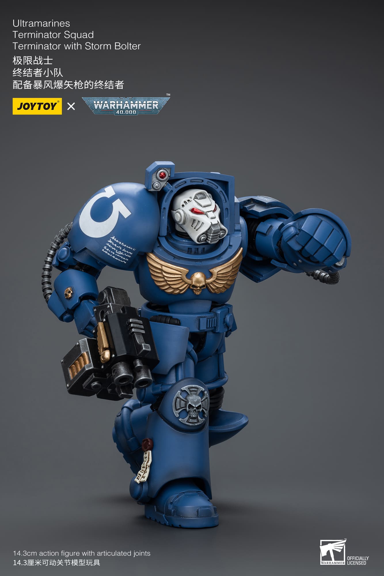 [JOYTOY] Ultramarines Terminator Squad Terminator with Storm Bolter JT9930-1717837702-bdd6t.jpg