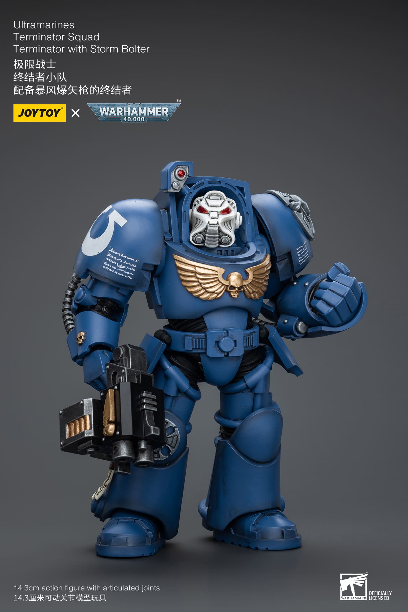 [JOYTOY] Ultramarines Terminator Squad Terminator with Storm Bolter JT9930-1717837705-EvnGA.jpg