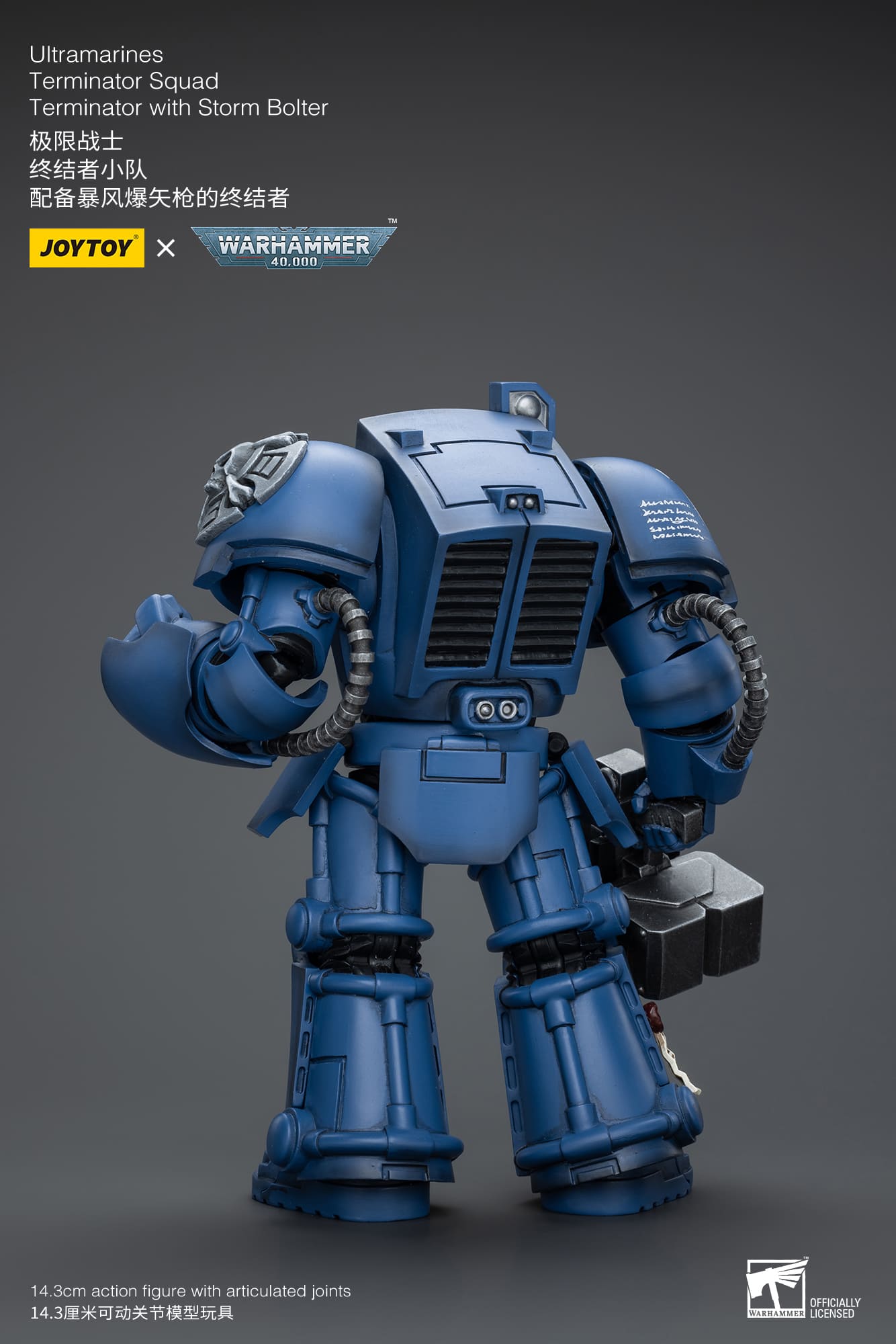 [JOYTOY] Ultramarines Terminator Squad Terminator with Storm Bolter JT9930-1717837706-KZMXz.jpg