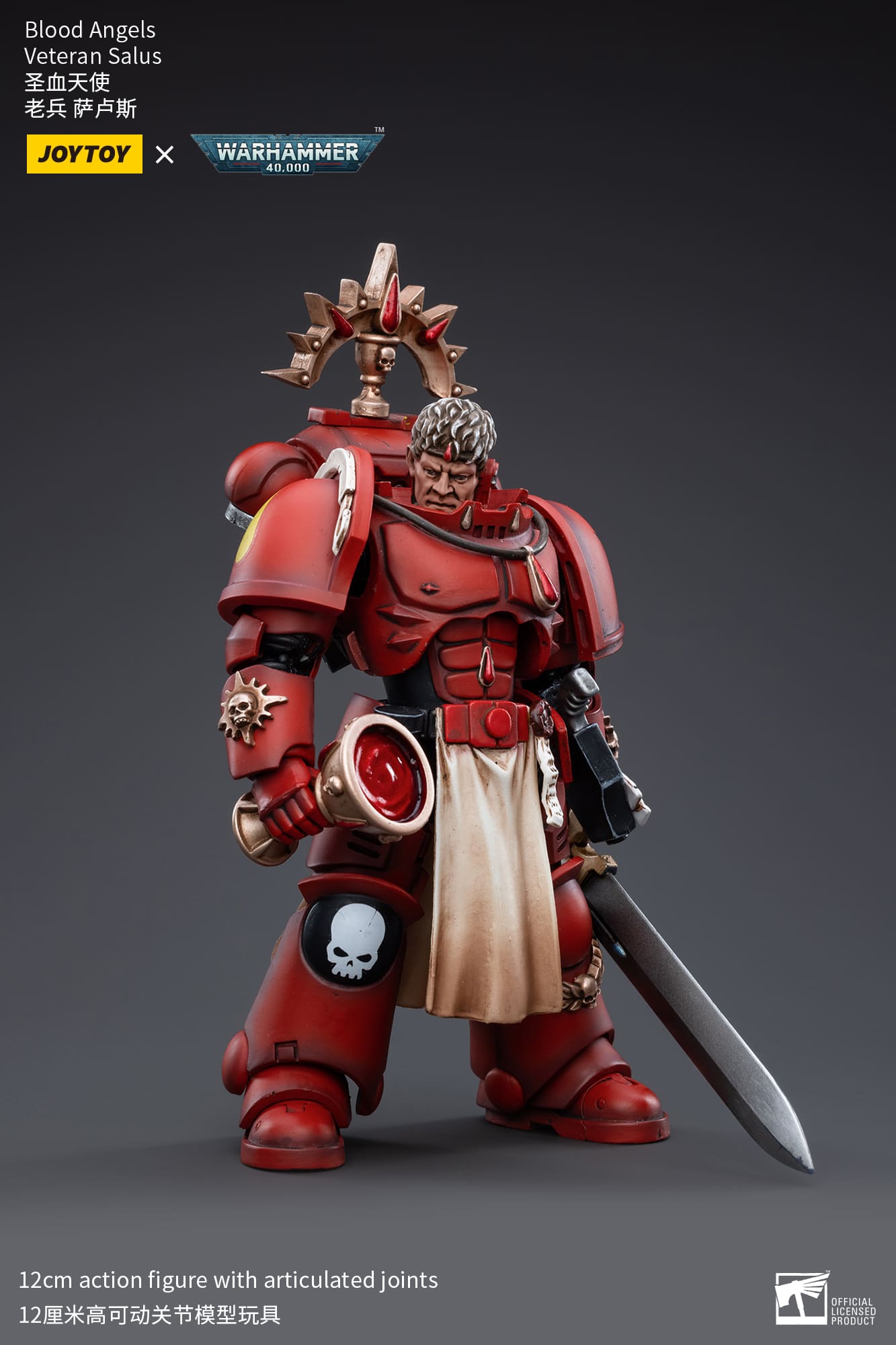 [JOYTOY] Blood Angels Veteran Salus JT3389-1717838532-AnnDQ.jpg