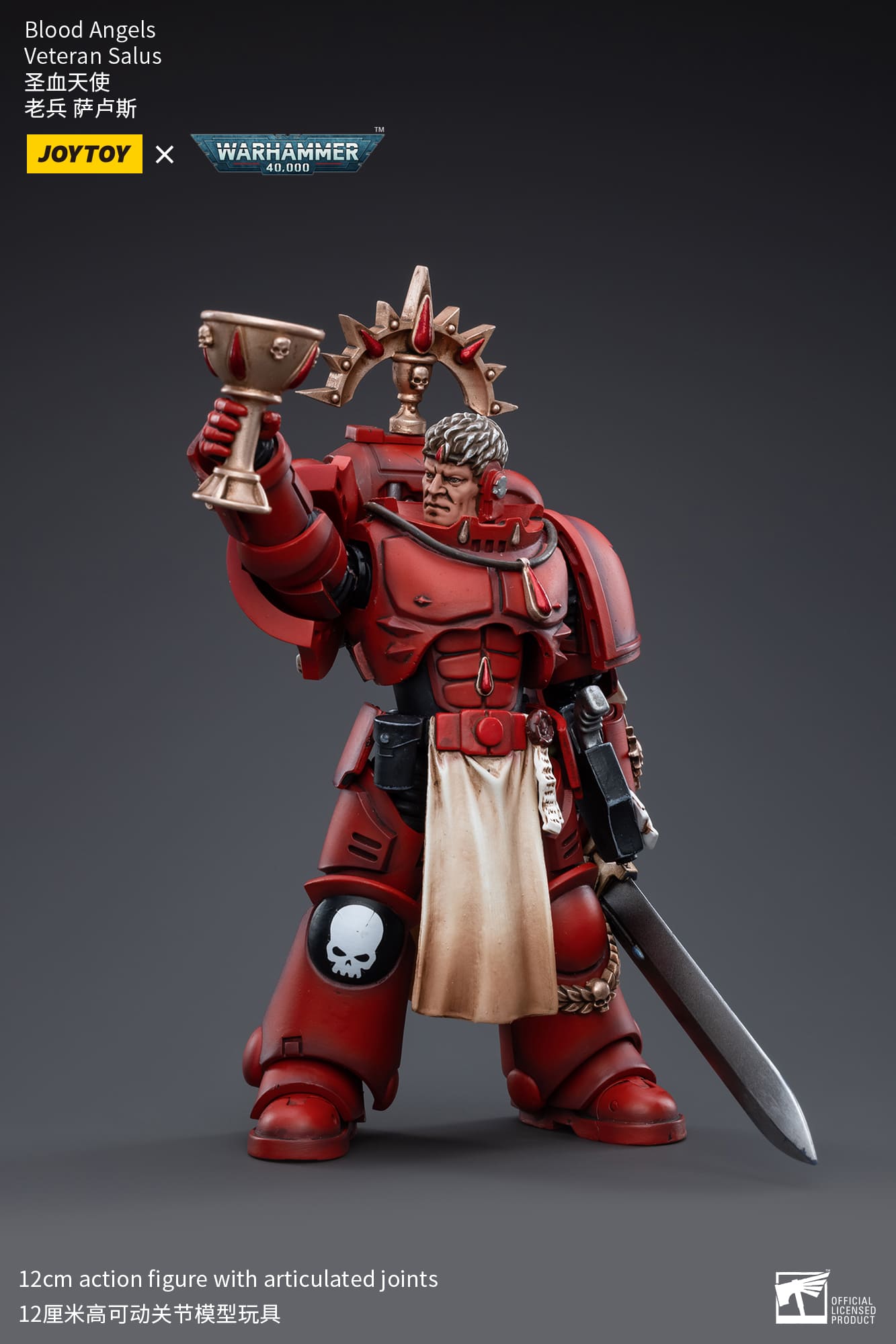 [JOYTOY] Blood Angels Veteran Salus JT3389-1717838533-GH3GI.jpg