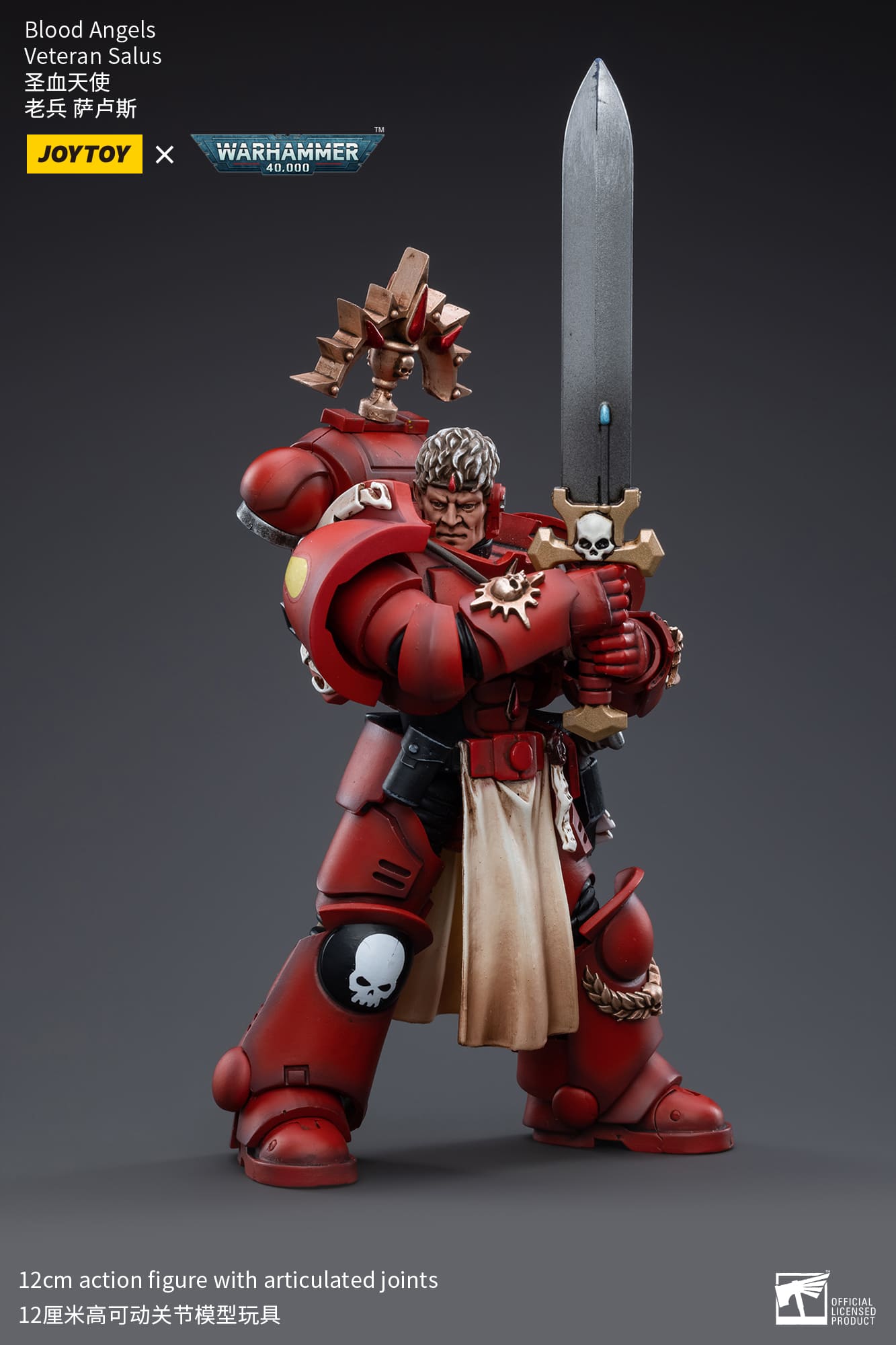 [JOYTOY] Blood Angels Veteran Salus JT3389-1717838534-Is18H.jpg