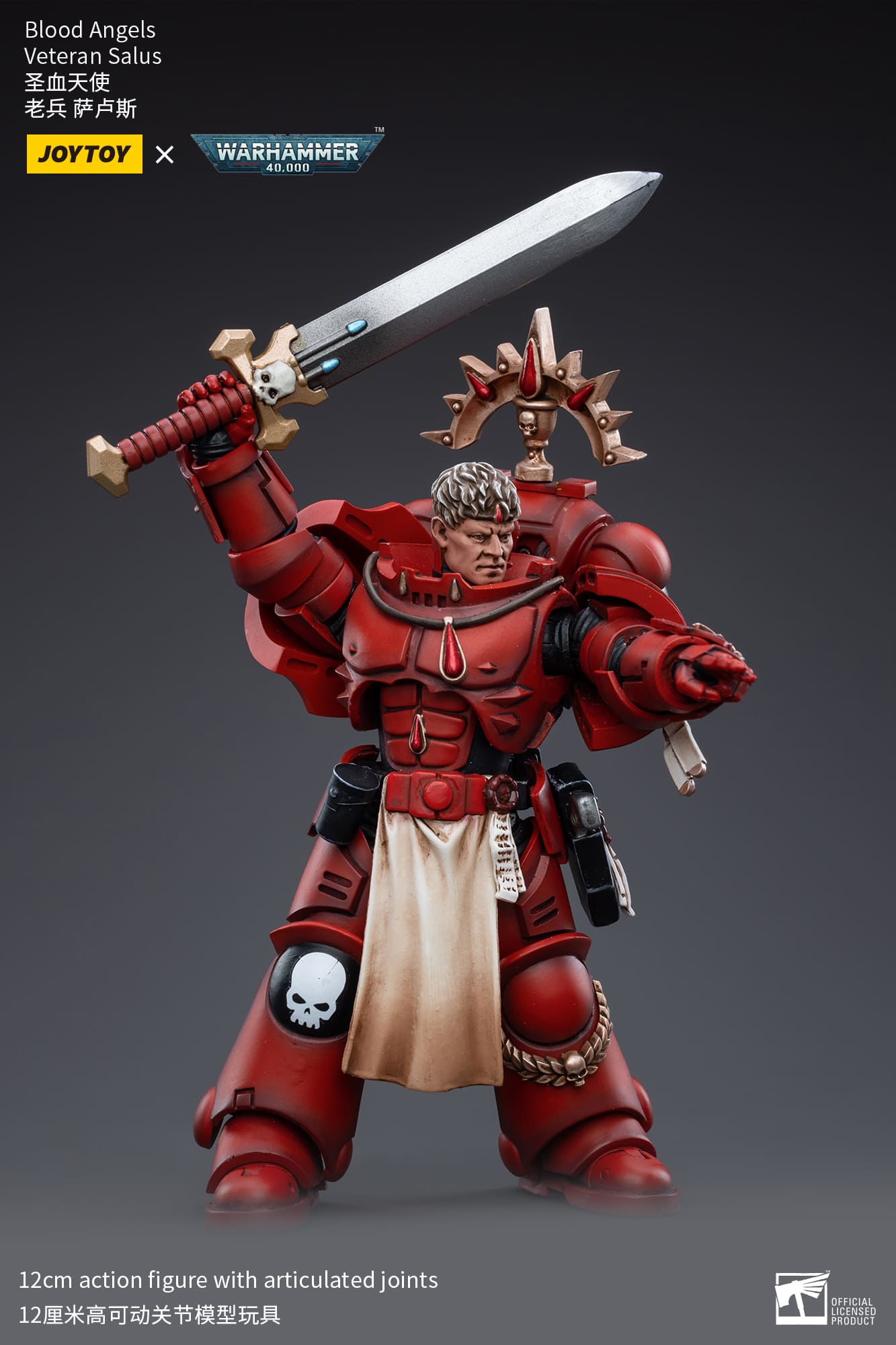 [JOYTOY] Blood Angels Veteran Salus JT3389-1717838535-fTxSv.jpg