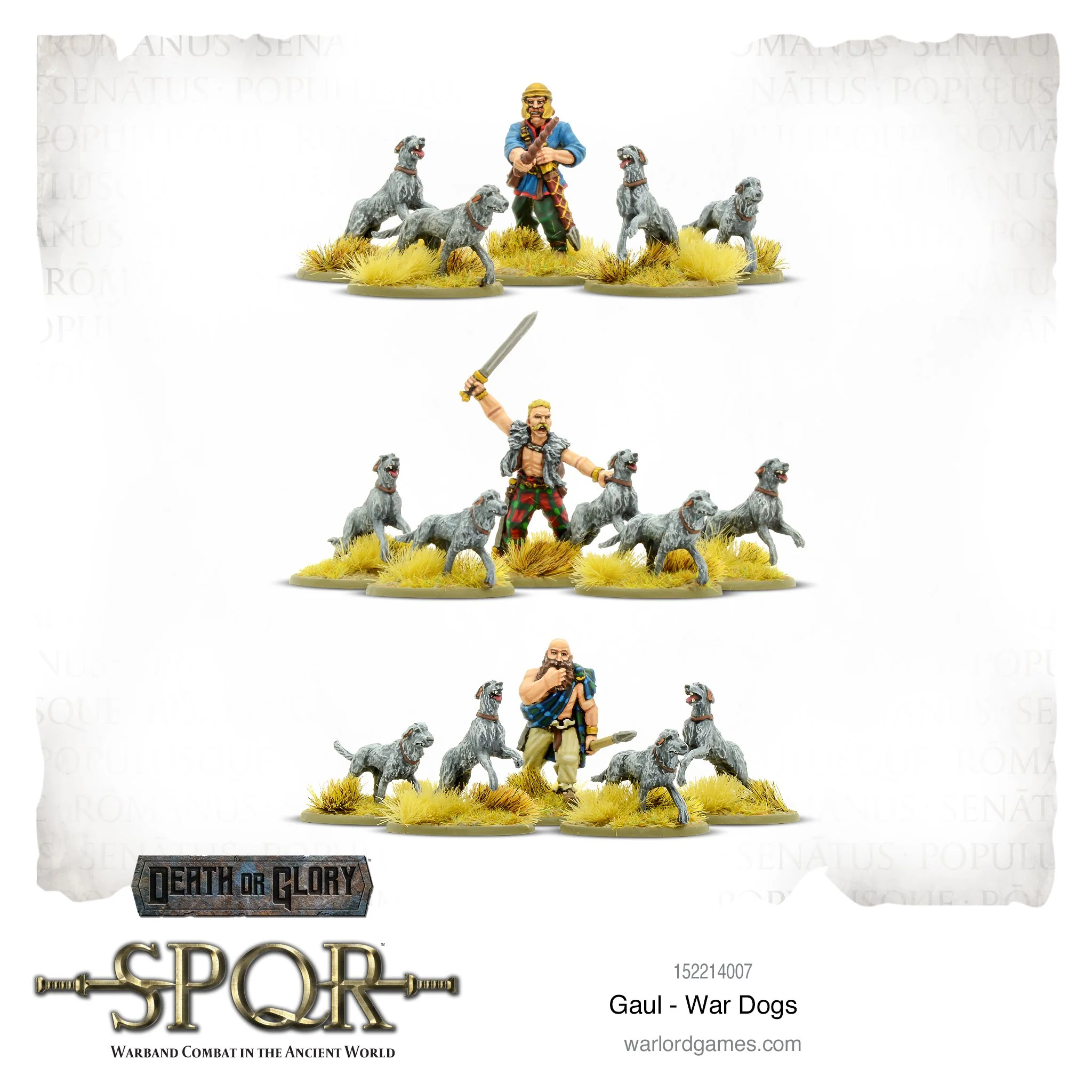 SPQR: Gaul - War Dogs-1718287844-oLdtS.webp