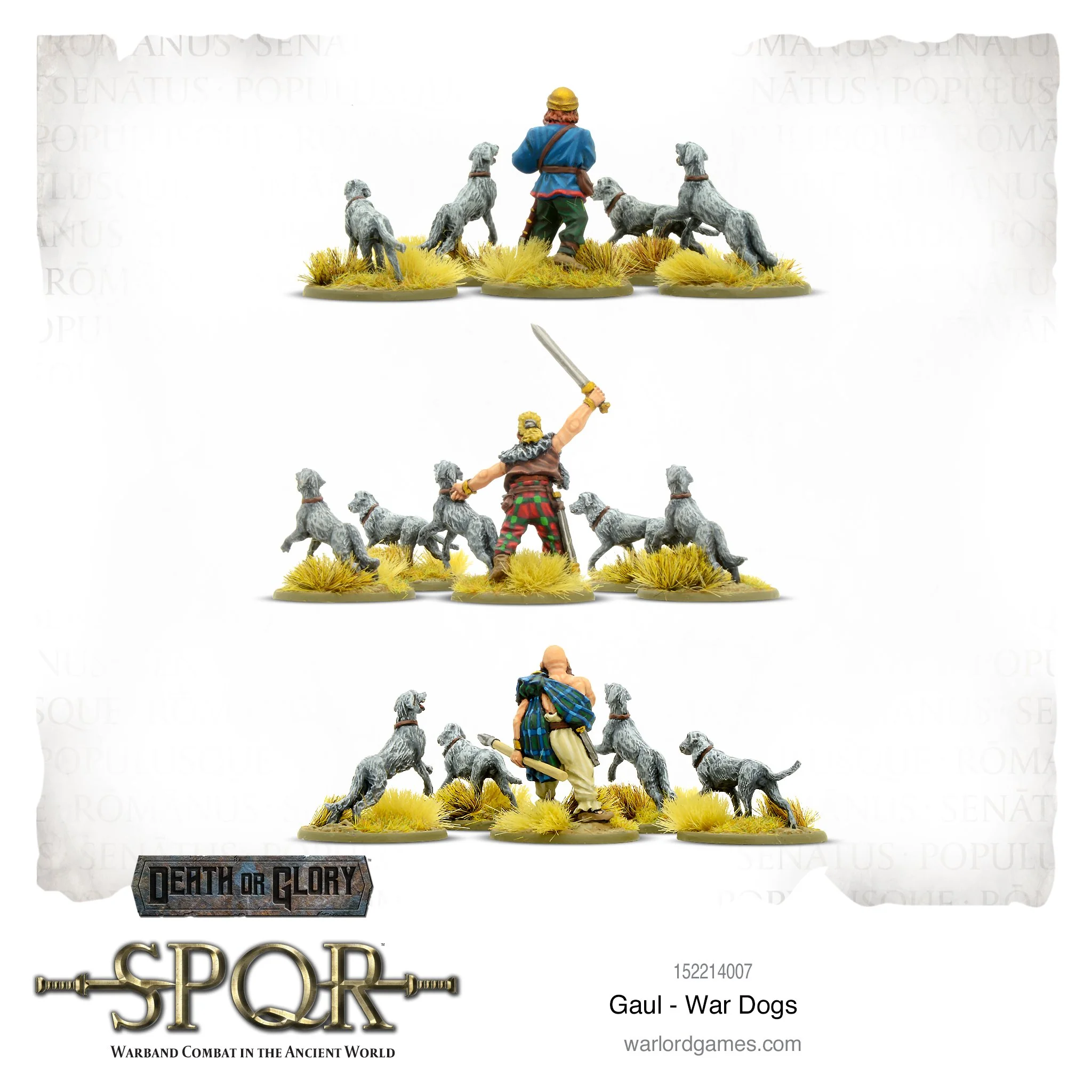 SPQR: Gaul - War Dogs-1718287845-y60ji.webp