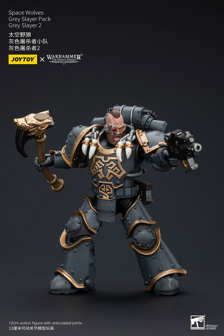 [JOYTOY] Space Wolves Grey Slayer Pack Grey Slayer2 JT7516-1721903904-KY9w5.jpg