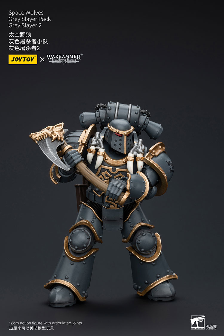 [JOYTOY] Space Wolves Grey Slayer Pack Grey Slayer2 JT7516-1721903906-BlyyS.jpg