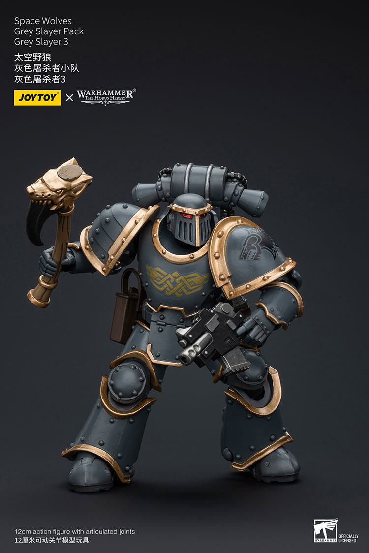 [JOYTOY] Space Wolves Grey Slayer Pack Grey Slayer3 JT6076-1721904000-dXp9r.jpg