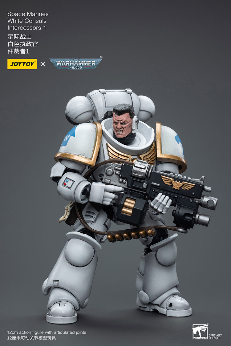 [JOYTOY]Space Marines White Consuls Intercessors 1 JT6847-1727959795-t94cv.jpg