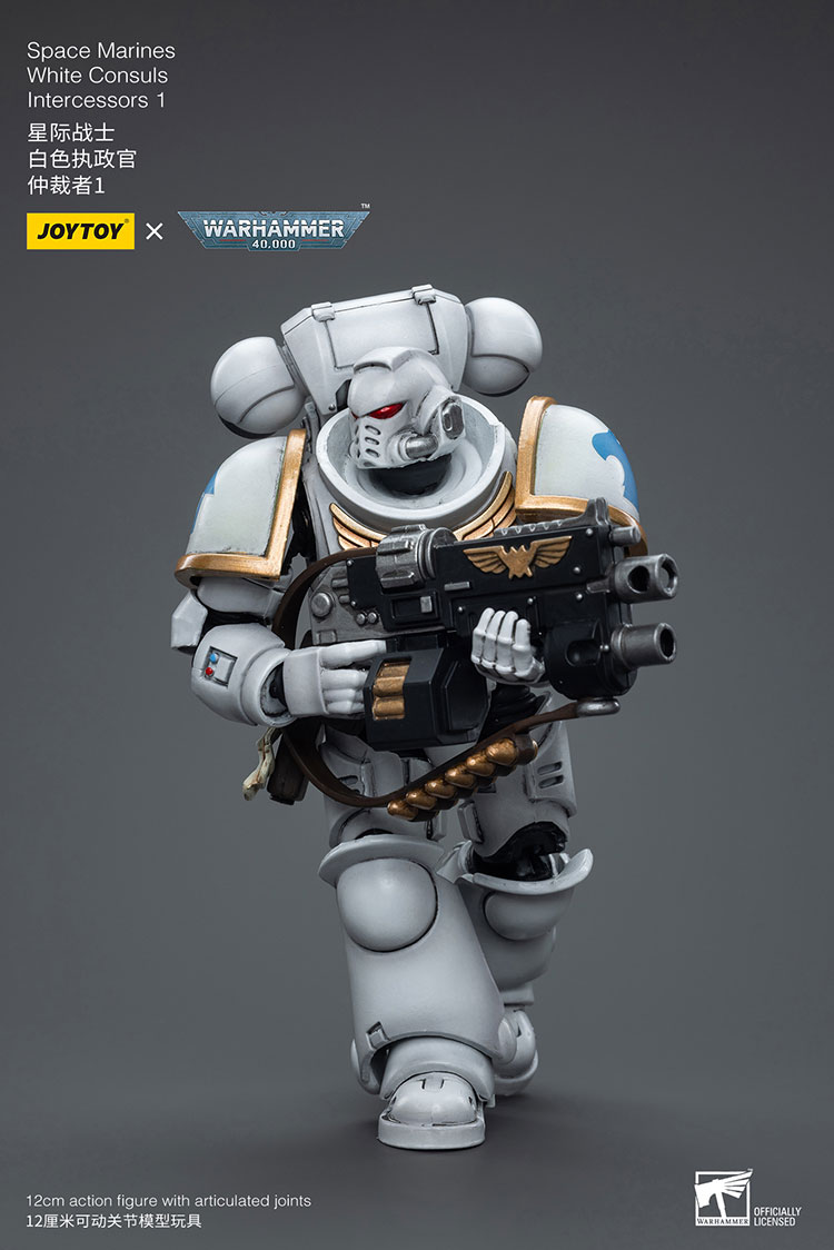 [JOYTOY]Space Marines White Consuls Intercessors 1 JT6847-1727959796-Fm8fd.jpg