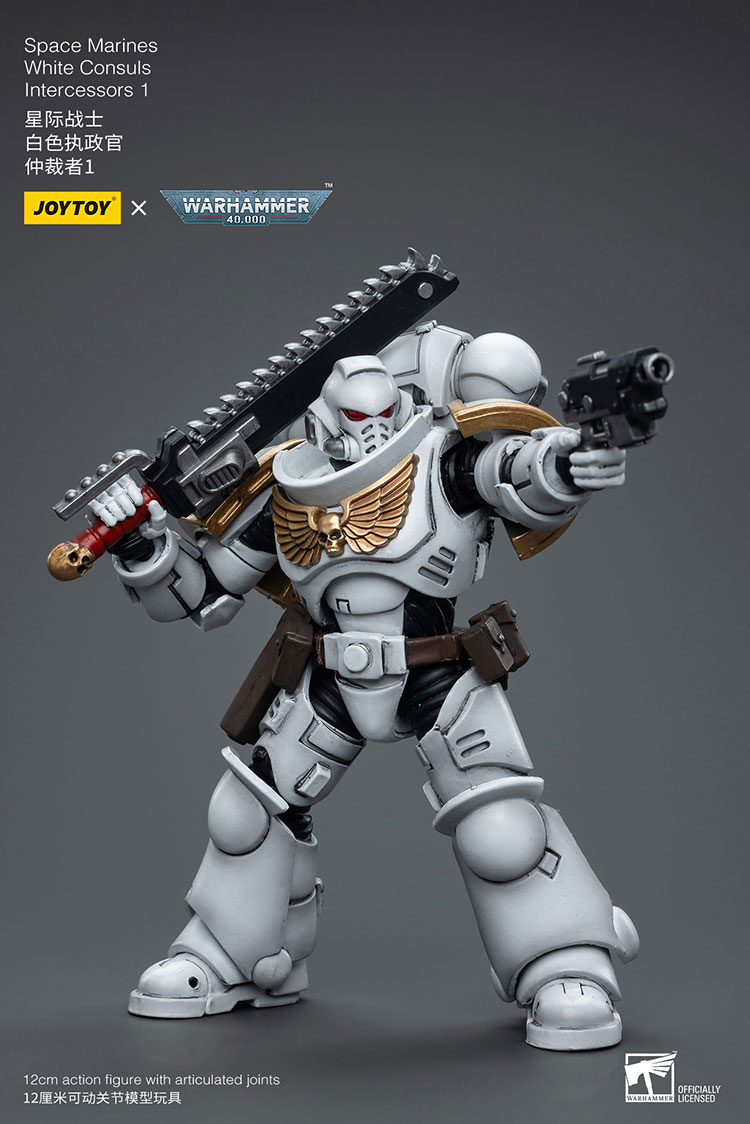 [JOYTOY]Space Marines White Consuls Intercessors 1 JT6847-1727959797-uHkKf.jpg