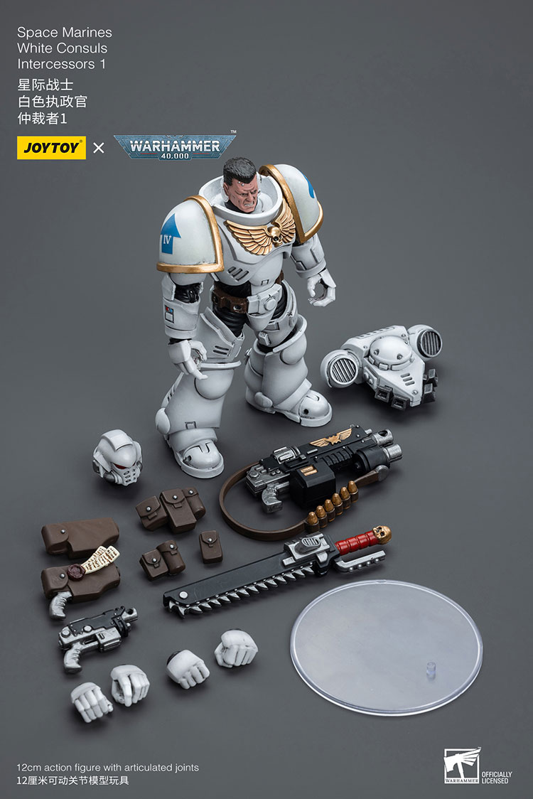 [JOYTOY]Space Marines White Consuls Intercessors 1 JT6847-1727959800-0jkvu.jpg