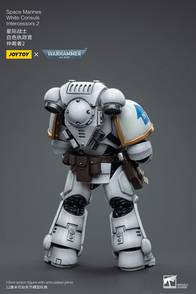 [JOYTOY]Space Marines White Consuls Intercessors 2 JT6854-1727960399-sDn40.jpg