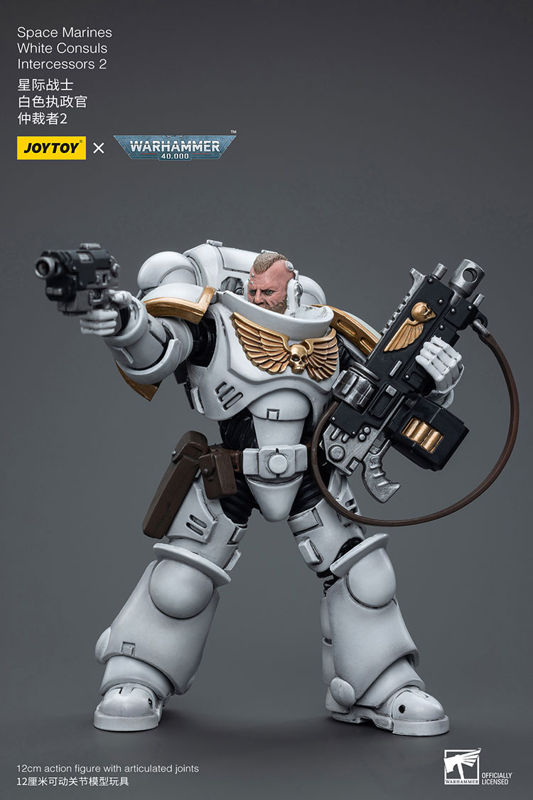 [JOYTOY]Space Marines White Consuls Intercessors 2 JT6854-1727960400-ApEfW.jpg