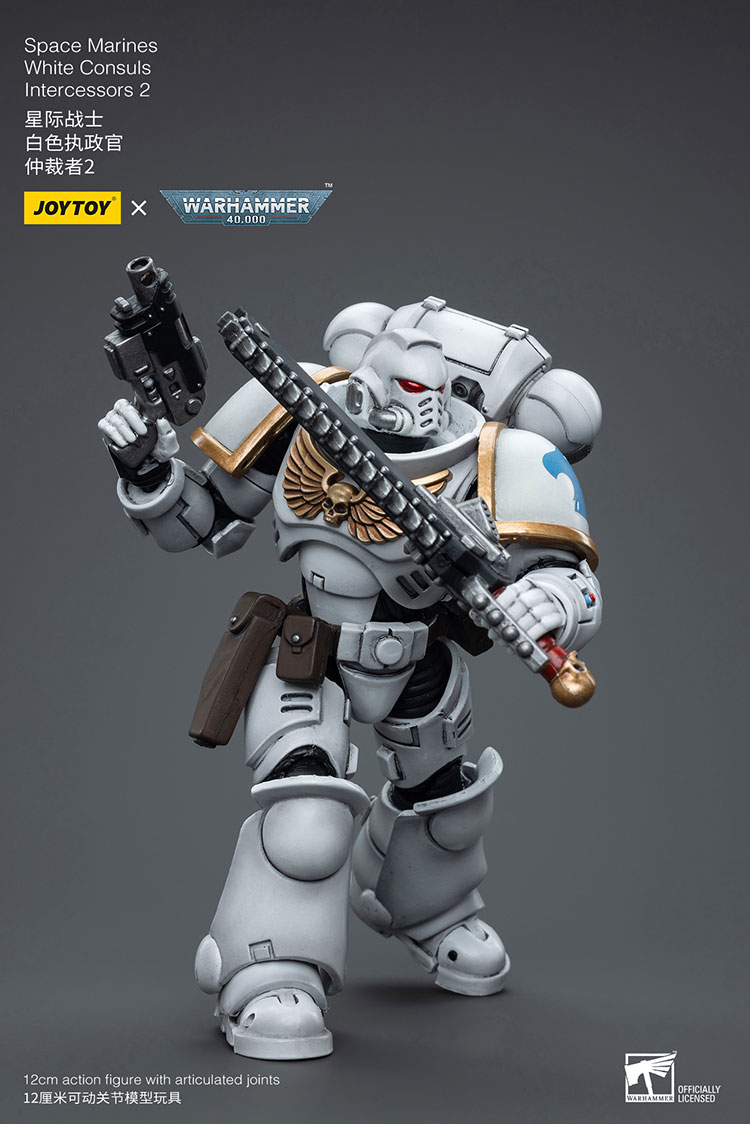 [JOYTOY]Space Marines White Consuls Intercessors 2 JT6854-1727960401-U6aAW.jpg