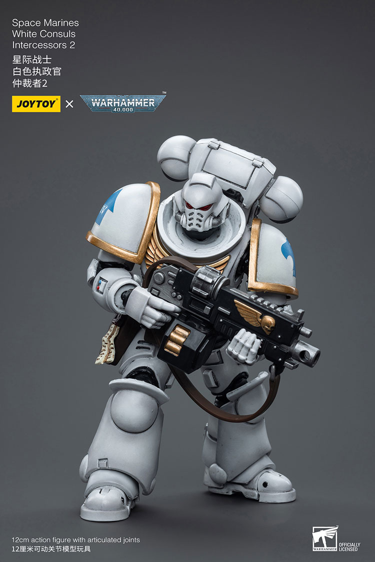 [JOYTOY]Space Marines White Consuls Intercessors 2 JT6854-1727960402-ZTPlQ.jpg