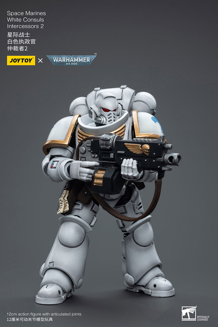 [JOYTOY]Space Marines White Consuls Intercessors 2 JT6854-1727960403-tNqB6.jpg