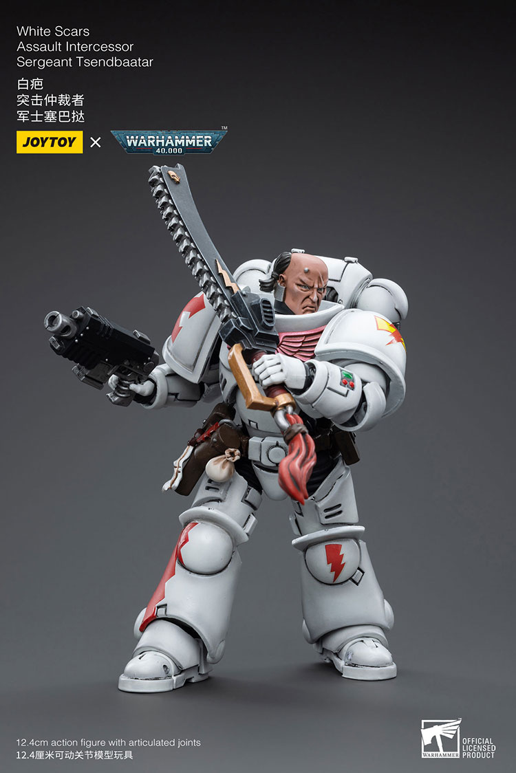 [JoyToy] Action Figure Warhammer 40K White Scars  Assault lntercessor  Sergeant Tsendbaatar JT3815-1727960529-rH1et.jpg