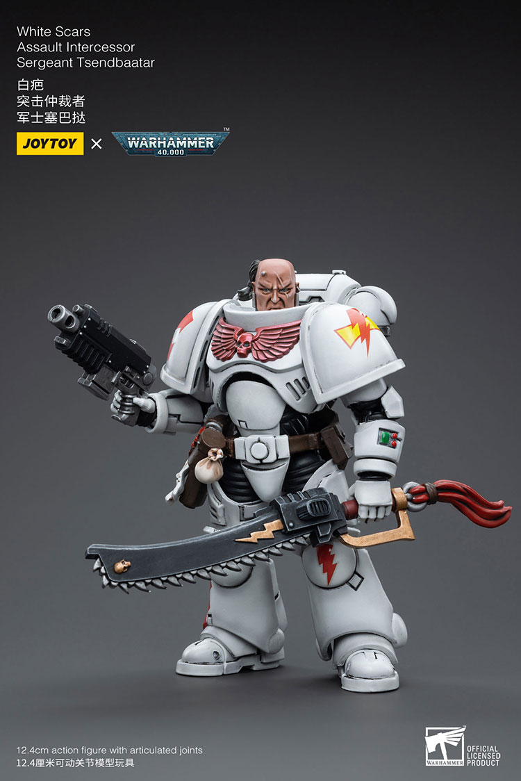 [JoyToy] Action Figure Warhammer 40K White Scars  Assault lntercessor  Sergeant Tsendbaatar JT3815-1727960530-WFFIf.jpg