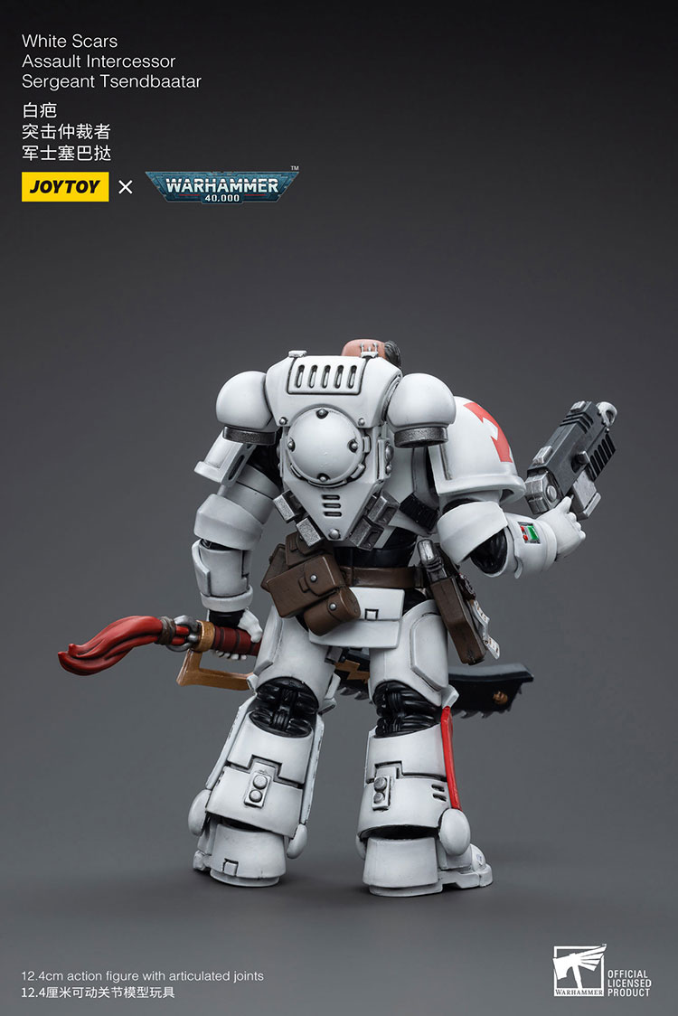 [JoyToy] Action Figure Warhammer 40K White Scars  Assault lntercessor  Sergeant Tsendbaatar JT3815-1727960531-DGfDC.jpg