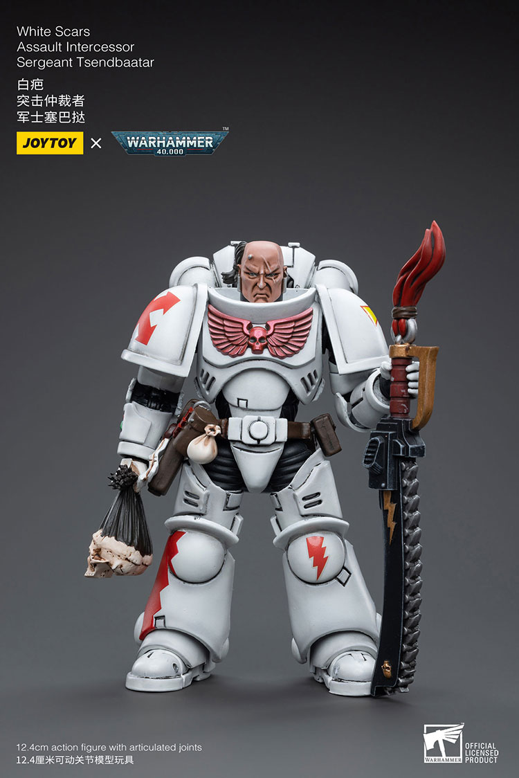 [JoyToy] Action Figure Warhammer 40K White Scars  Assault lntercessor  Sergeant Tsendbaatar JT3815-1727960532-SHwv9.jpg