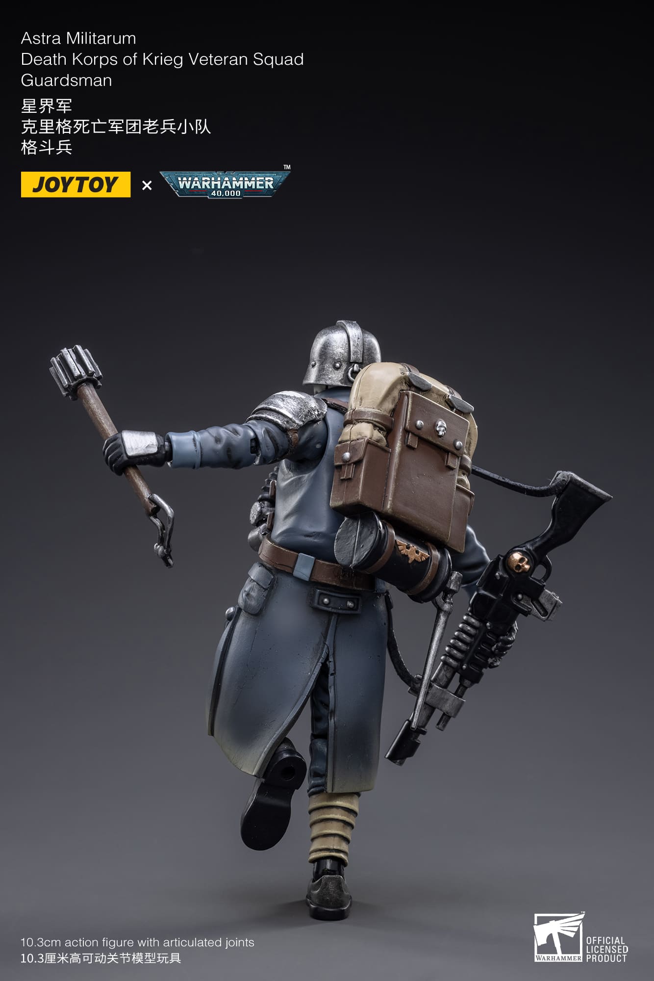 (JOYTOY) Death Korps of Krieg Veteran Squad Guardsman JT2665-1731669434-QzdsW.jpg