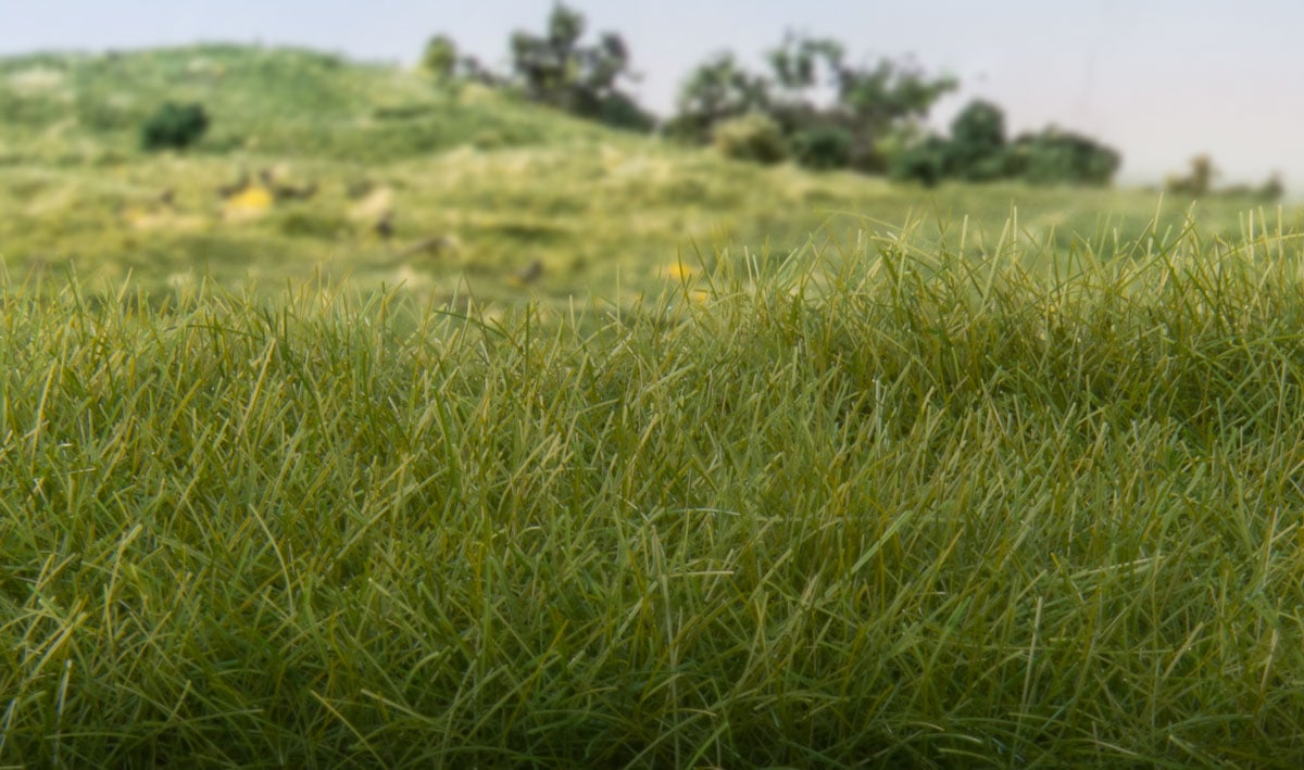 (WOODLAND SCENICS) STATIC GRASS DARK GREEN 2 MM. FS613-1735315361-QXh0J.jpg