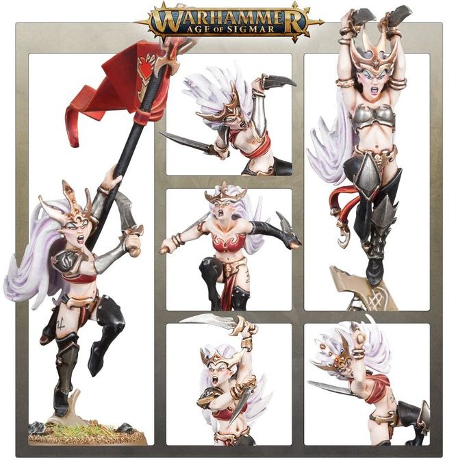 (200A) DAUGHTERS OF KHAINE: WITCH AELVES-1747842107-QPNms.jpg