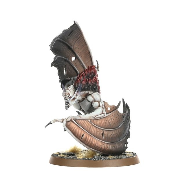 (GW) SPEARHEAD: S/GRAVELORDS BLOODCRAVE HUNT-1747986904-paIV3.jpg