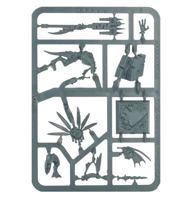 (DIRECT) SERAPHON: SKINK STARPRIEST-1748109594-IlFYD.jpg