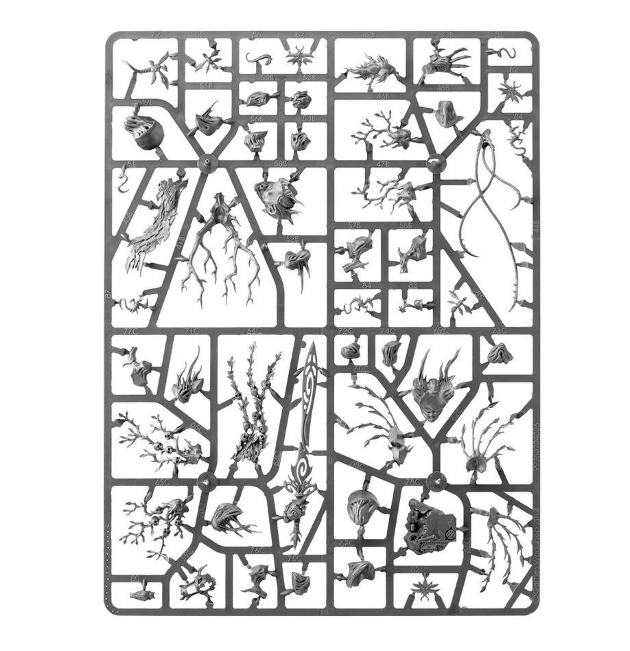 (200A) SPEARHEAD: SYLVANETH-1748350090-6DYFJ.jpg