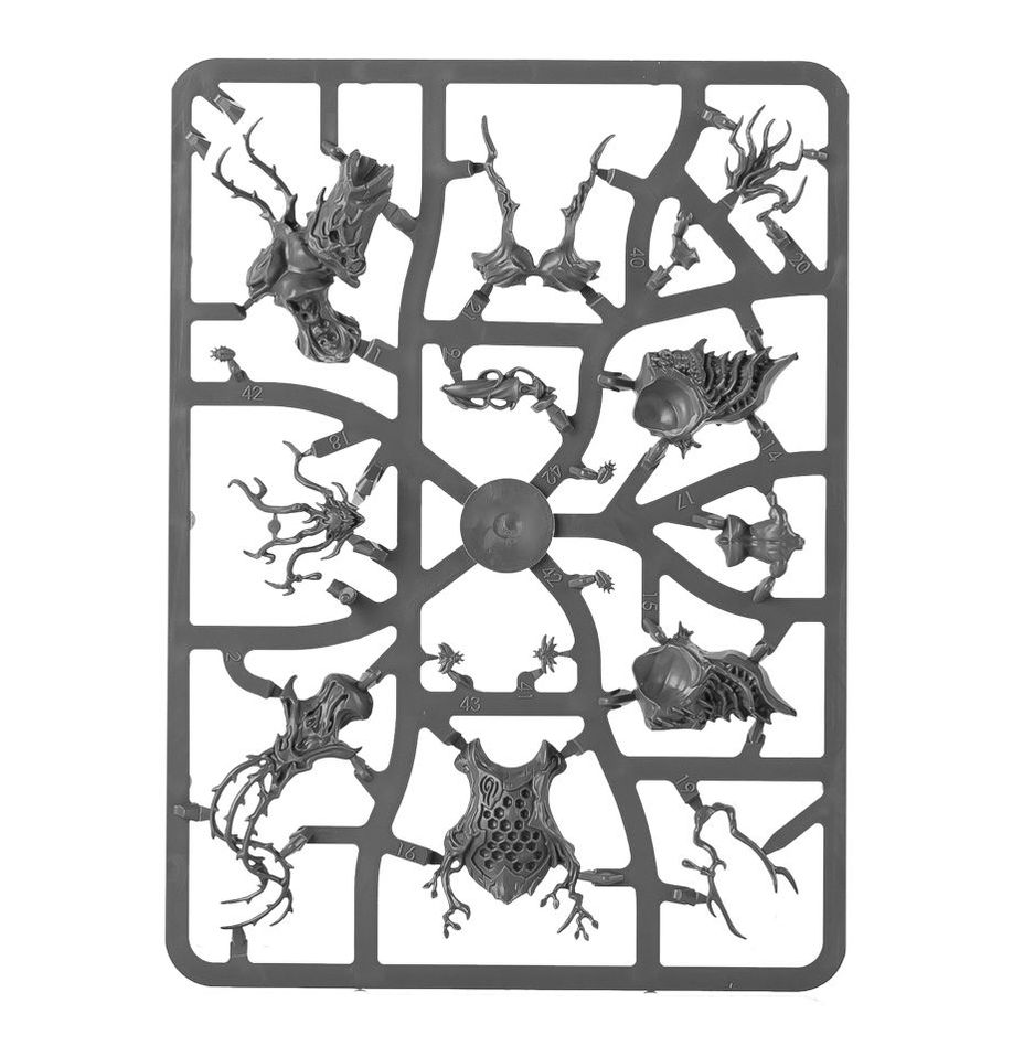 (DIRECT) SYLVANETH DRYCHA HAMADRETH-1748368764-Ljsoz.jpg