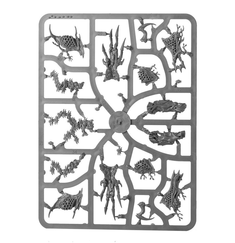 (DIRECT) SYLVANETH DRYCHA HAMADRETH-1748368765-MUOC7.jpg