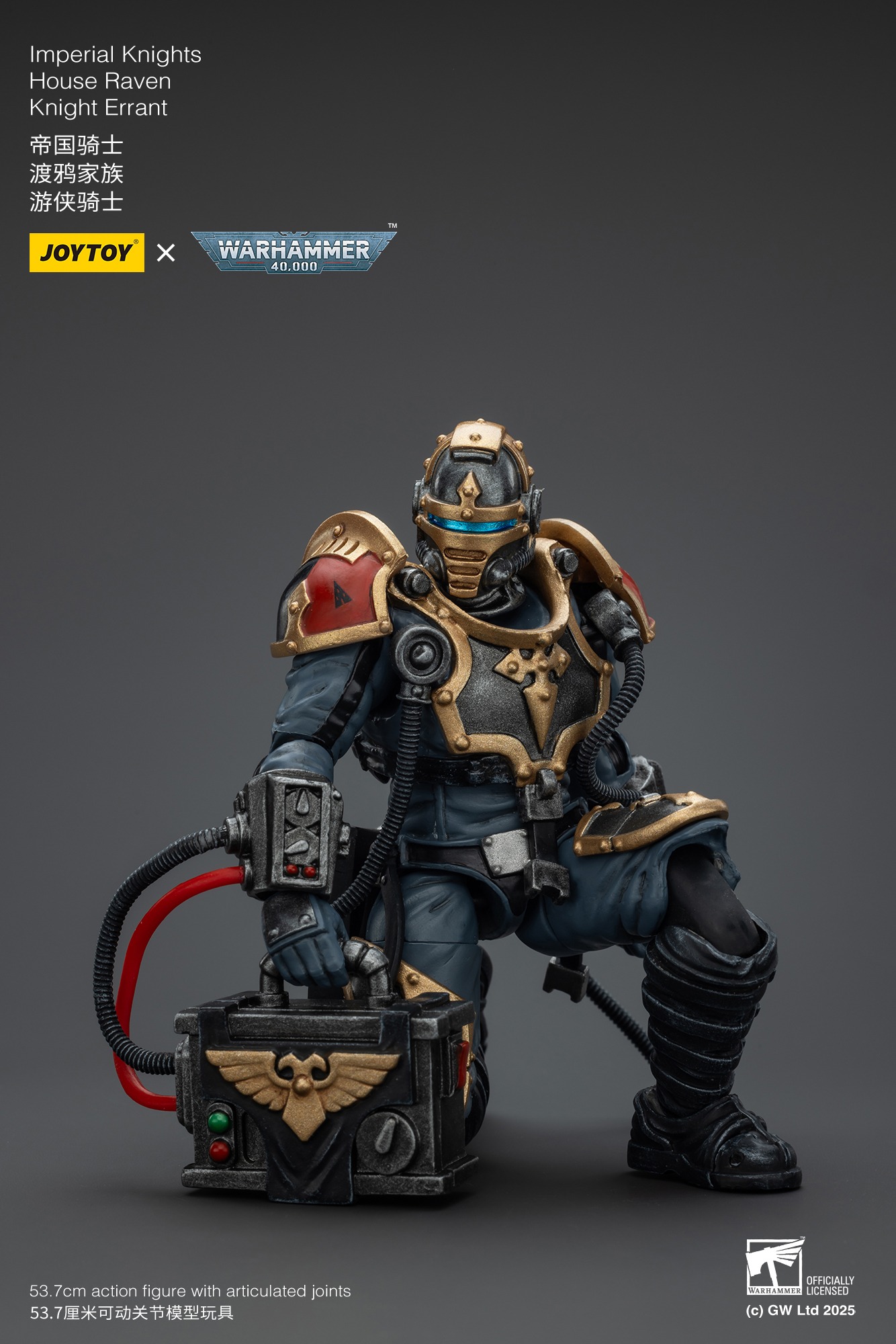 (JOYTOY) Imperial Knights House Raven Knight Errant JT9305-1753266892-IPR4P.jpg