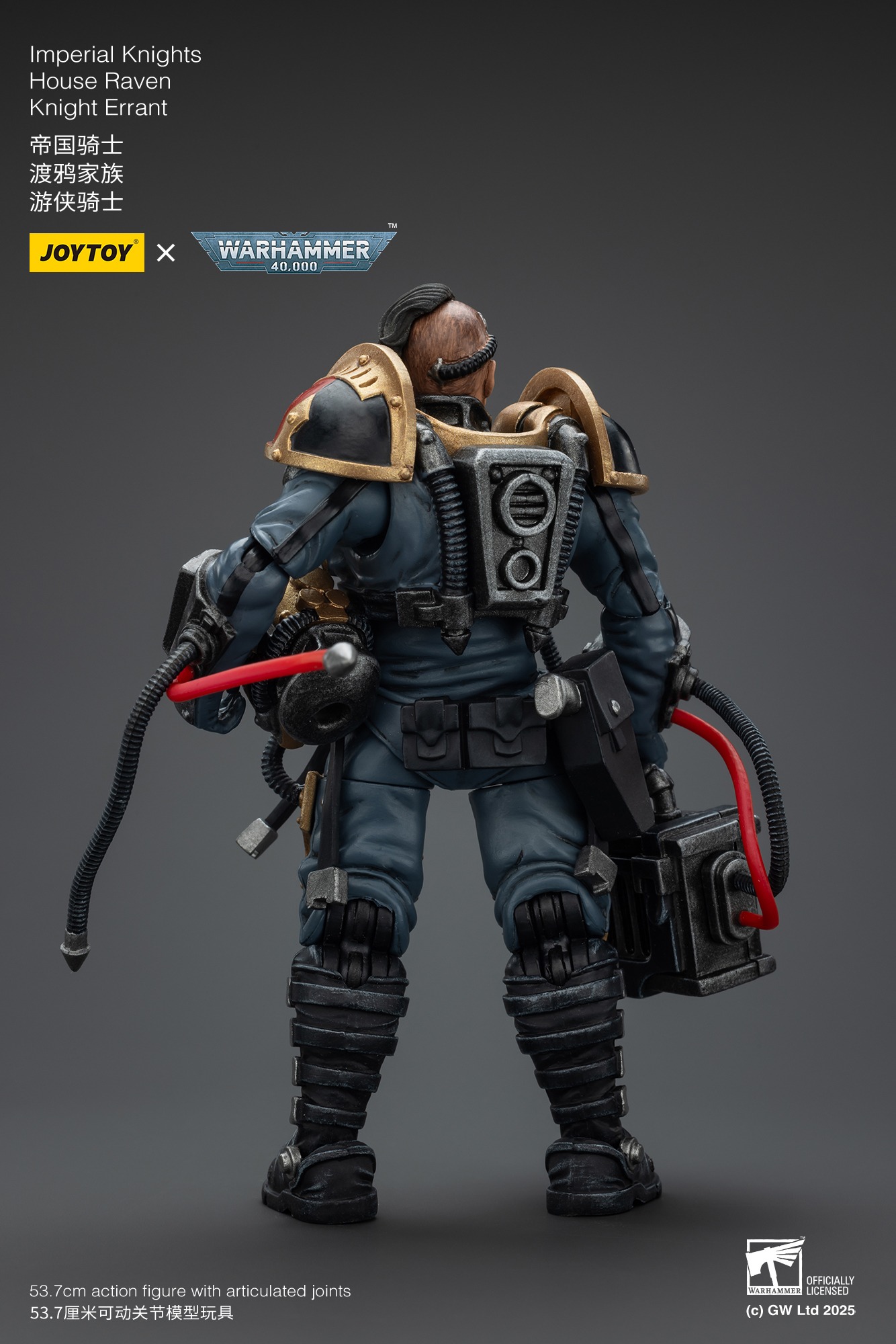 (JOYTOY) Imperial Knights House Raven Knight Errant JT9305-1753266893-Yauh5.jpg