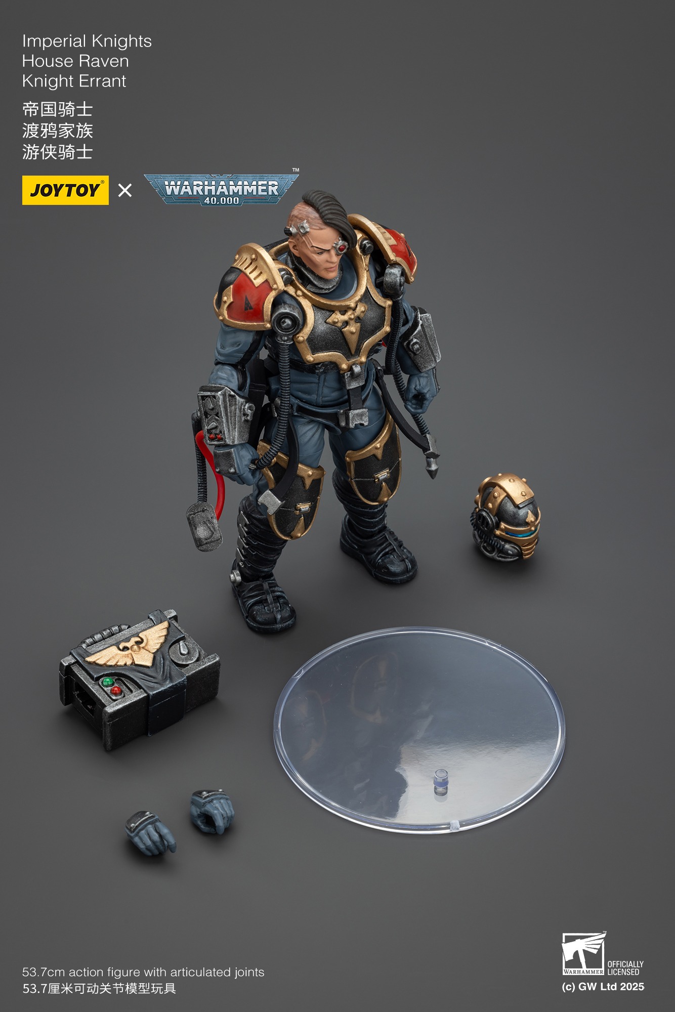 (JOYTOY) Imperial Knights House Raven Knight Errant JT9305-1753266894-kRdMk.jpg