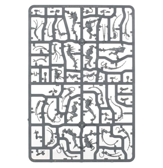 (GW) ADEPTA SORORITAS ARCO-FLAGELLANTS-1753550601-KLicp.jpg