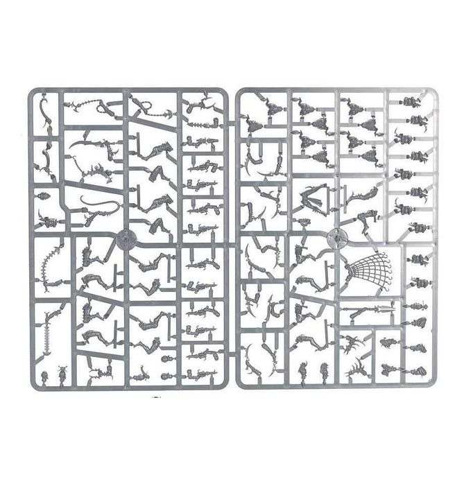 (GW) DRUKHARI WYCHES-1753698056-ZbGMI.jpg