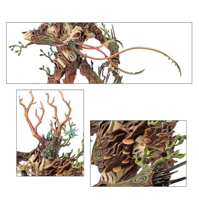 (DIRECT) SYLVANETH TREELORD-1754154149-z5TUm.jpg