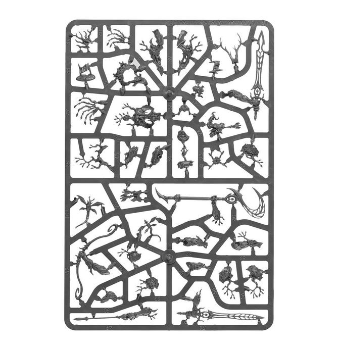 (200A) SYLVANETH: KURNOTH HUNTERS-1754155014-uSHcY.jpg