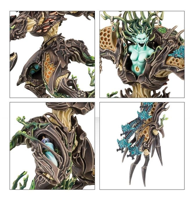 (DIRECT) SYLVANETH DRYCHA HAMADRETH-1754155296-eA43l.jpg