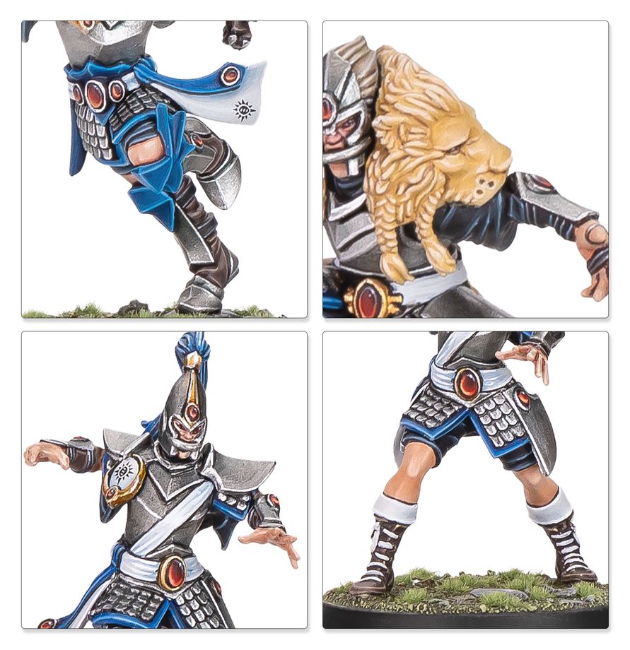 (PRE ORDER) BLOOD BOWL: HIGH ELF BLOOD BOWL TEAM-1773648335-cRtGW.jpg